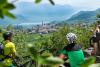 Percorsi in bicicletta