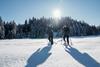 Snowshoe hikes