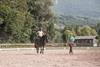 Cavalli & equitazione