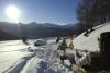 Tobogganing