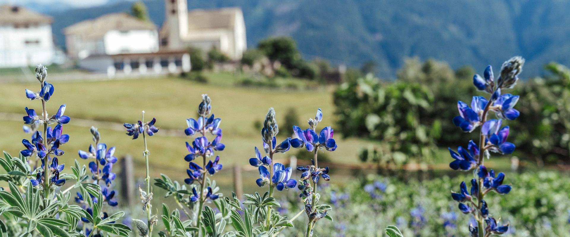L'alto sud dell'Alto Adige