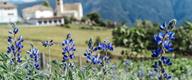 The southeastern Dolomites