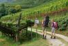 genusswandern