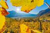 5-herbstwanderung-2