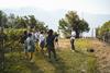 5-weinexpedition-cantina-kurtatsch-2