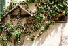 tv-suedtiroler-unterland-luca-guadagnini-55