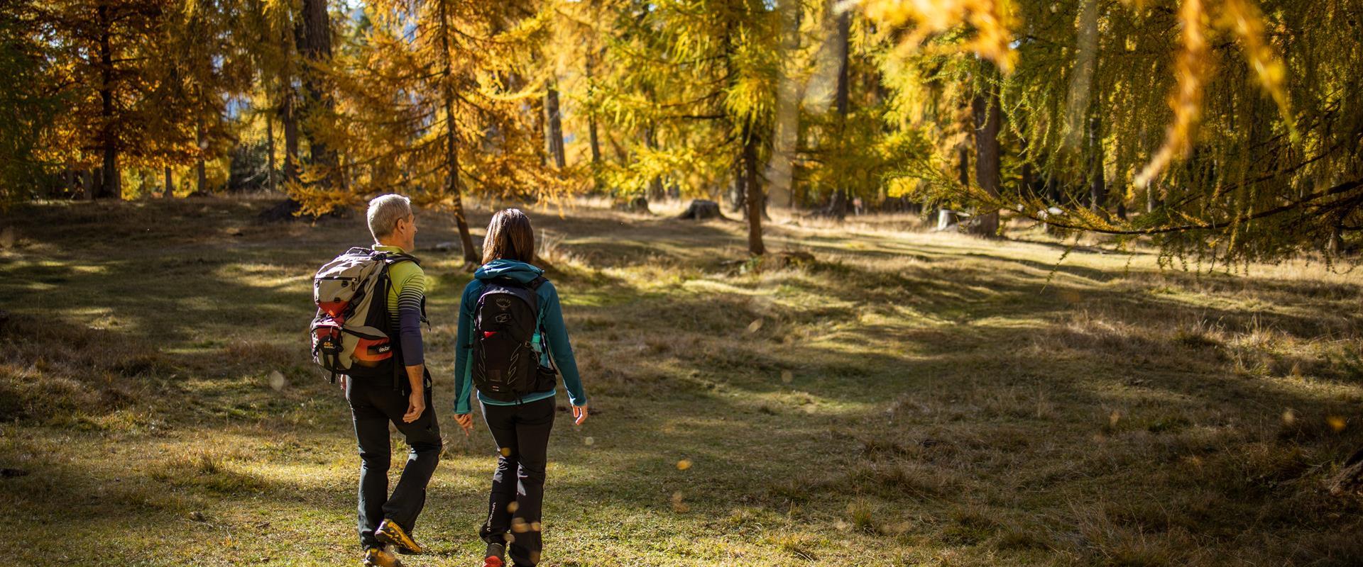 Escursioni autunnali