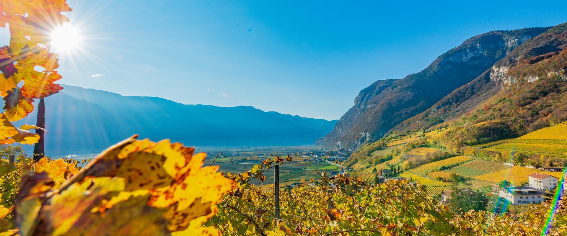 Sapori d'autunno